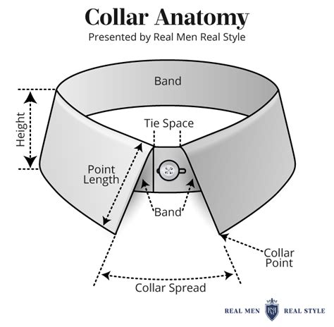 collar meaning.